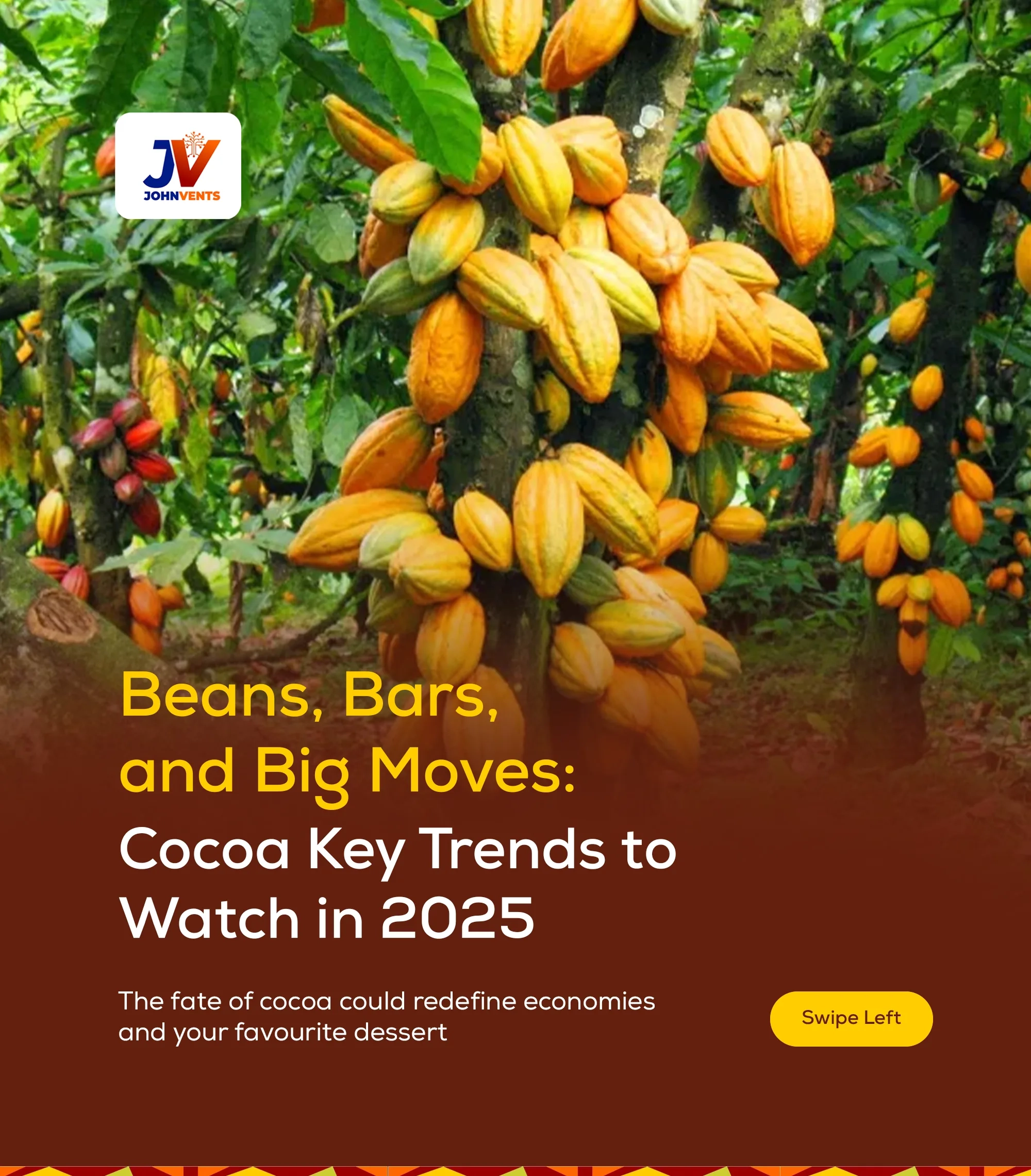 Cocoa farmer