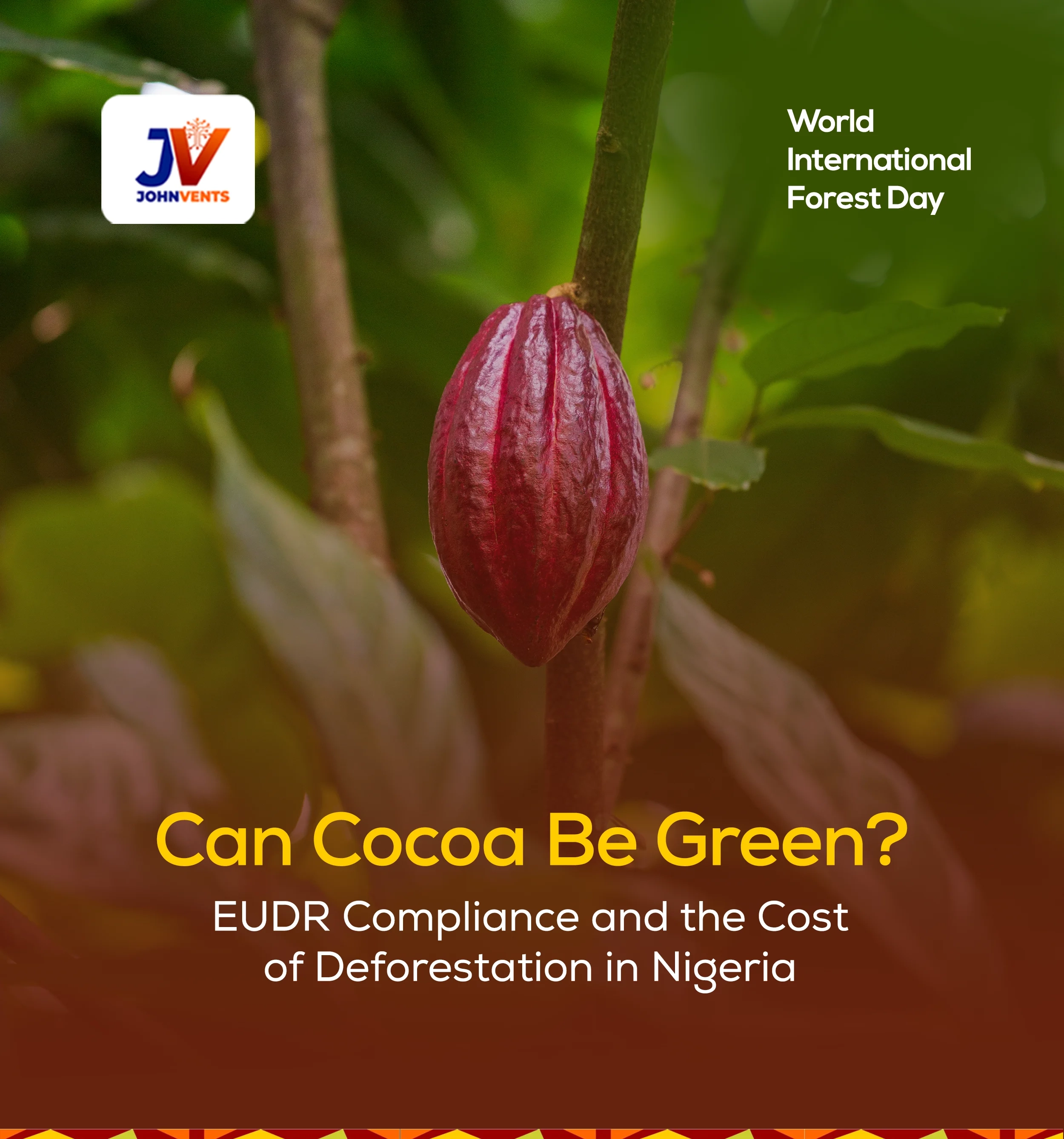 Cocoa farmer