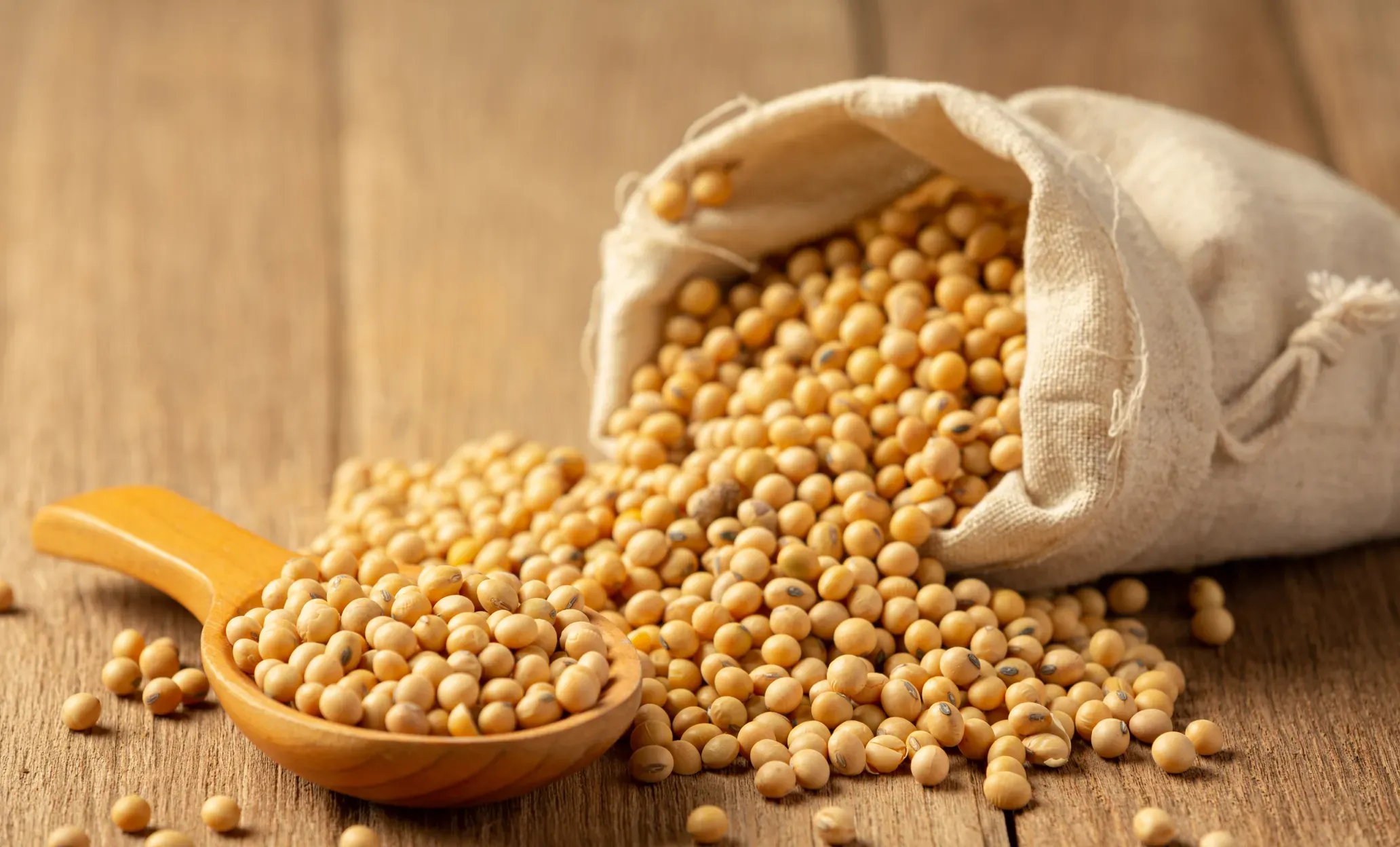 Soyabeans